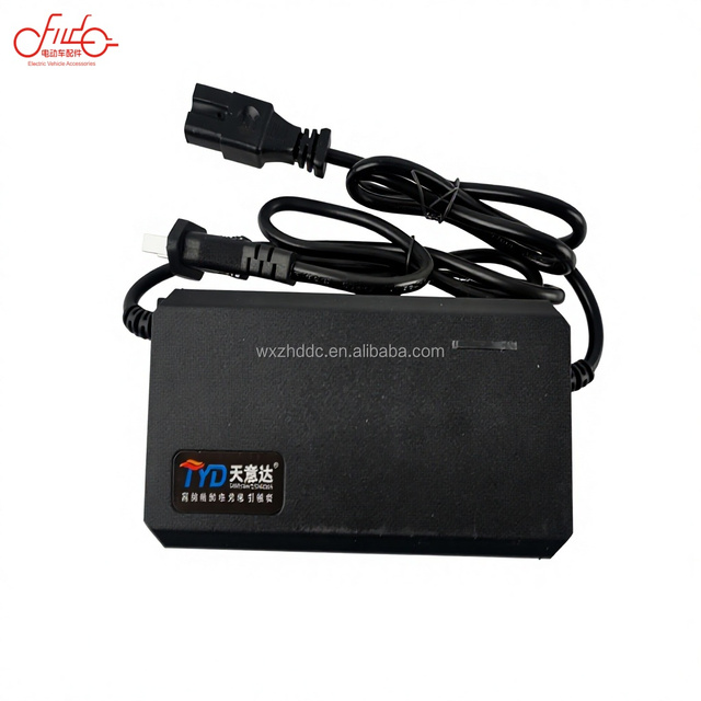 Tian Yi Da Universal 220W 48V30Ah Factory Supplied Power Adapter Charger Fast Charging Electric Scooter Battery Charger