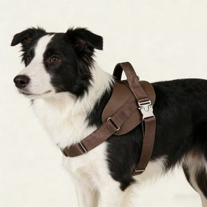 Arnés para Perro Resistente y Duradero OEM, Hebilla de Metal, Liberación Rápida, Collar para Perro, Arnés Acolchado Suave para Mascotas - Product Image 1