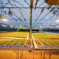 Petit kit d'hydroponie agricole avec structure de serre en panneaux de polycarbonate et système de serre intelligent