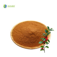Venta caliente hierba china de grado alimenticio Ruscus Aculeatus Extracto de raíz en polvo 10% 20% Extracto de hierbas ruscogenina