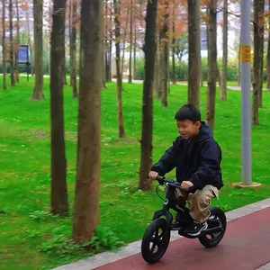 Chinese Factory Cheap Children No Pedal Bicycle 100W Powered 24V 2.5ah Kids Electric Balance Bikes