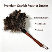 ELECDON Feather Duster dengan Gagang Kayu Alat Penyapu Debu Lembut dan Halus untuk Membersihkan Rumah dan Mobil Ramah Lingkungan Dapat Digunakan Kembali Mudah Dibersihkan (2 Buah)