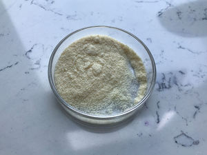 Doğal Schizochytrium kaynaklı DHA yosun tozu - Product Image 6