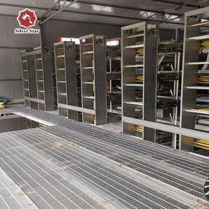 Đẻ hen/lớp trứng pin loại H giá rẻ lồng gà/<span class=keywords><strong>coops</strong></span> để bán - Product Image 2