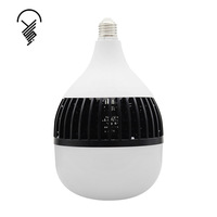 Éclairage industriel Radiateur à ailettes en aluminium Haute luminosité Haute puissance 80W Prix bas Ampoule