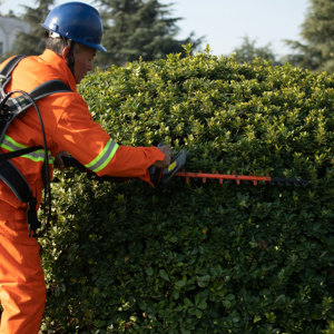 เครื่องตัดขอบลิเธียม N + PLUS เป็นมิตรกับสิ่งแวดล้อมเครื่องตัดป้องกันความเสี่ยงชาร์จไฟได้แบบพกพาที่มีประสิทธิภาพ - Product Image 6