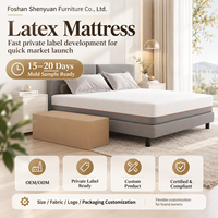 Matelas en latex orthopédique avec mousse à soutien supplémentaire pour la maison, la chambre et l'hôtel