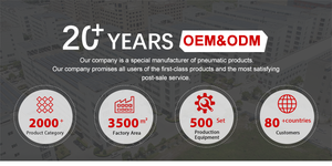 Électrovanne pneumatique à diaphragme de type DMF de haute qualité RIH, électrovanne à impulsion à angle droit - Product Image 2