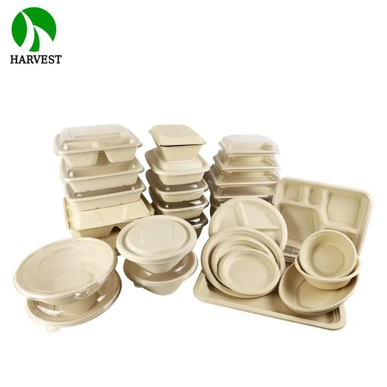 Contenedor desechable biodegradable de 8 pulgadas, embalaje de comida para llevar