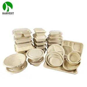 8 Inch Biodegradable Paper Takeaway Food Packaging Disposable Container