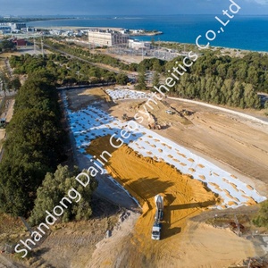 Hdpe geomembrane דג בריכת אניה מיכל 100% בתולה hdpe עמיד למים מוסמך - Product Image 5
