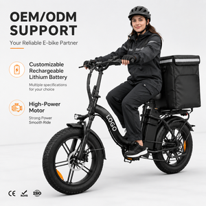 Bicicleta Eléctrica Todoterreno con Llantas Anchas, Batería de 48V 50Ah, 250W 750W, 20 Pulgadas, Bicicleta Eléctrica de Carga OEM ODM, Superventas - Product Image 1