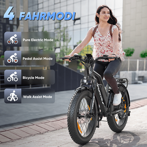 จักรยานเสือภูเขา EU 500W/750W ความเร็วสูง 45 กม./ชม. ยางอ้วนขนาด 24*4 นิ้ว 48V 13AH ระยะทางไกล สำหรับผู้หญิง แบบ Step-Thru จักรยานเสือภูเขา 500W 750W ไฟฟ้า - Product Image 3