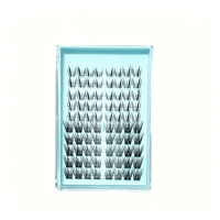 Pas de colle supplémentaire nécessaire, texture légère et douce, bande invisible pour les cils en grappe DIY pour débutants, beauté des yeux.