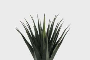 Planta Artificial de <span class=keywords><strong>Agave</strong></span> con Púas de Plástico de 80 cm, para Interiores y Exteriores, 26 Hojas, 10 Años de Duración, Ecológica, Pequeña, para Suelo - Product Image 3