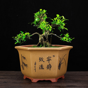 Design de taille de couleur personnalisée hexagone <span class=keywords><strong>Grand</strong></span> Large Yixing argile violette non émaillée plante en céramique arbre bonsaï Pots de fleurs - Product Image 3