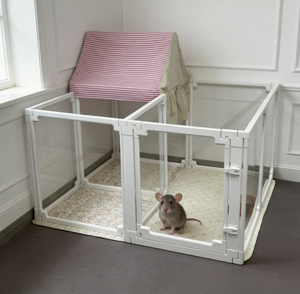 Recinto Moderno Trasparente in ABS/PET per Porcellini d'India e Cani con Design Perforato, Facile Installazione, Sicurezza per Interni. - Product Image 3