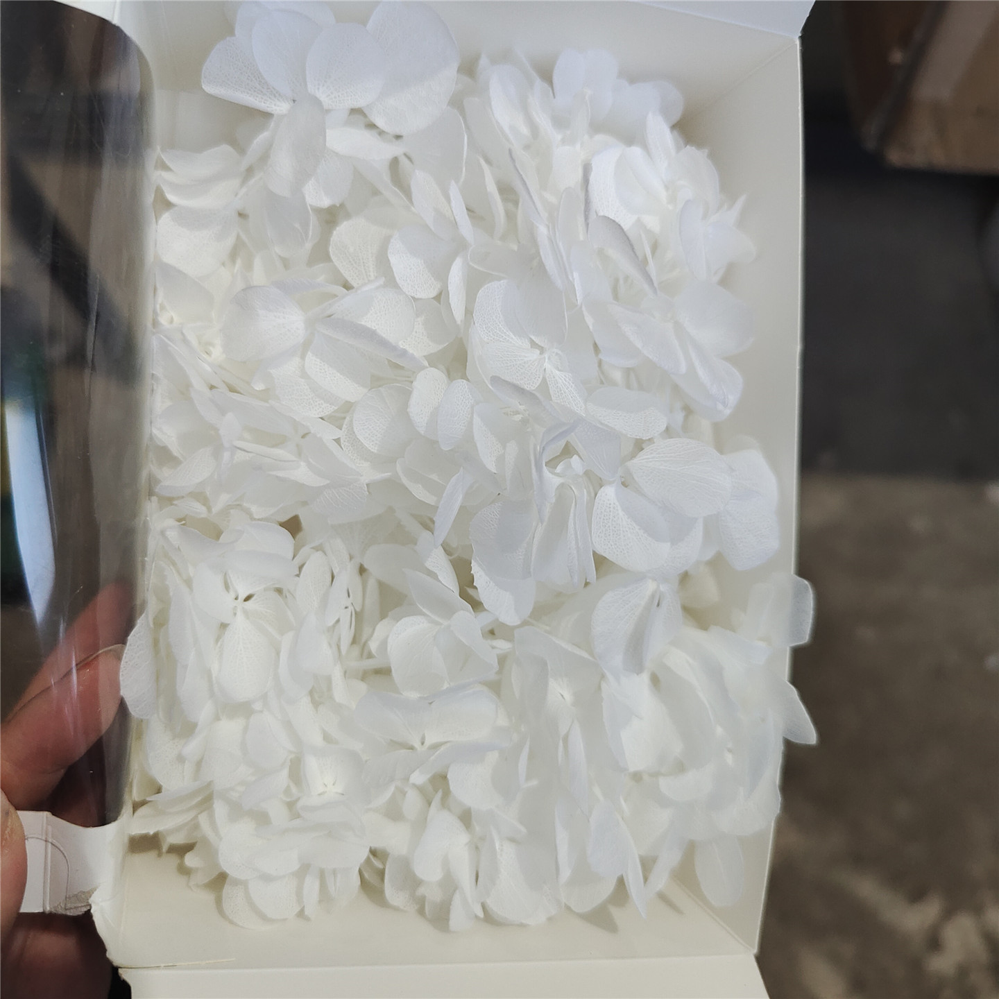 Atlantis blanc 20g par boîte