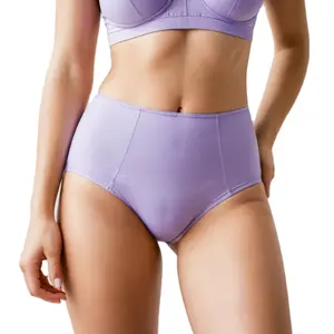 Ladymate Odm/oem Culottes Menstruelles Para Muje Leak Proof Underwear Menstrual Period Roupa Interior Underwear Menstrual Panty