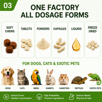 Poudre de L-Lysine, Complément Nutritionnel pour Chiens et Chats, Soutien Immunitaire, OEM ODM Marque Privée
