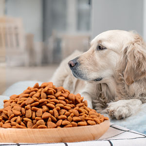 Alimento urinário seco a granel bravo drolls sleeky ondulado para adultos, comida de cachorro 20kg - Product Image 2