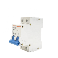 Disjoncteur miniature QIHANG C Curve 2P MCB QHB7-63 C1 230V 50Hz 6KA en plastique, 10000 cycles, montage sur rail, pour boîtier de distribution