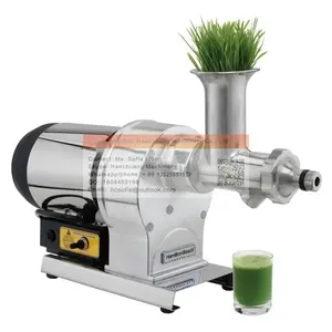 Extractor de jugo de hierba de trigo pequeño, máquina exprimidora de tomate, patata y jengibre