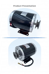 MY1020 500W <span class=keywords><strong>800W</strong></span> 1000W E-bike E-Scooter Moteur électrique Tricycle électrique Brosse Moteur à courant continu Poulie - Product Image 6