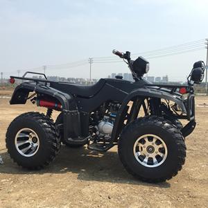 <span class=keywords><strong>Quad</strong></span> 250cc pour adultes à 2 roues motrices avec certificat CE - Product Image 5