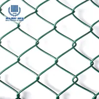 PVC coating chain link mesh for fence
