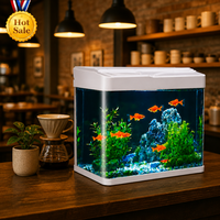 Aquarium de bureau rectangulaire en verre pour petits poissons, type fermé, écologique, pour poissons rouges, mini-aquarium pour personne paresseuse, vente en gros