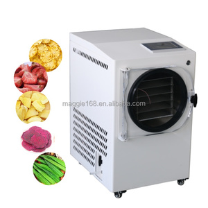 Meilleur prix pour un lyophilisateur industriel à vide largement utilisé pour les fruits et légumes - Product Image 1