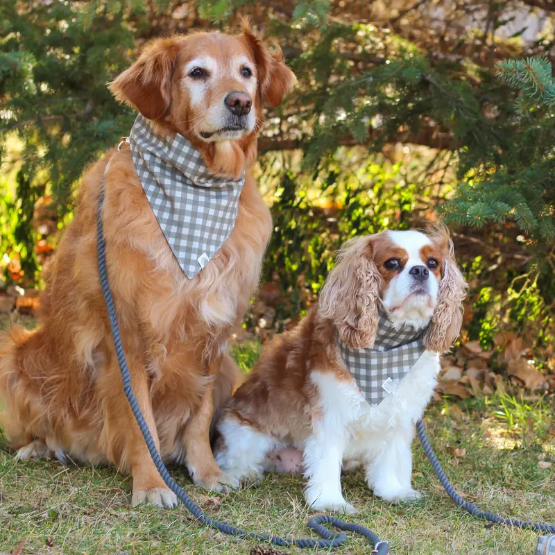 New Trend Canvas Dog Bandana stampata Pet sciarpa Outdoor Fashion Puppy bandane a triangolo