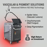 Machine d'épilation professionnelle à double laser 755nm 1064nm pour le corps entier, largeur d'impulsion d'énergie réglable pour l'élimination des taches de vieillesse