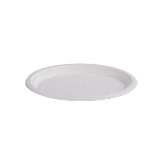 Top Biodegradable Sugarcane Bagasse Disposable Plates Disposable Pulp paper School Plate