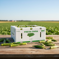 Boîte en plastique ondulé pour la conservation des produits frais, emballage agricole en plastique avec trous de ventilation pour le transport des produits frais