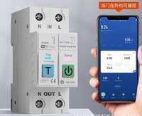 Interrupteur intelligent de haute qualité, détection de fuite de tension, données de puissance, contrôle à distance par téléphone portable, disjoncteur industriel MCB 1-63A 2P