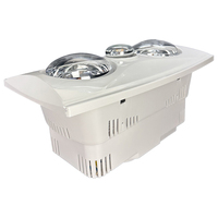 Calentador Radiante Infrarrojo Compacto de Techo con 2 Bombillas, Ahorro de Energía, Iluminación y Ventilación para Baño, Plástico