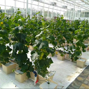 Nuovo Design del sistema a barile idroponico PP1 2 4 fori per la coltivazione di ortaggi e frutta in serra - Product Image 4