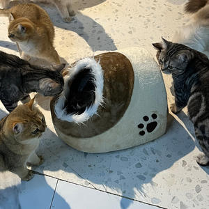 Cama para Mascotas con Diseño de Huella de Gato, Cálida para Invierno, Desmontable, Lavable, Semicerrada, Casa para Gatos, Universal para las Cuatro Estaciones, Cama para Perros - Product Image 2