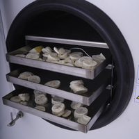 Mini Kleine Grote Thuisgebruik Vacuüm Voedsel Fruit Vriesdroger Prijs Drogen Lyofilisatie Machine Te Koop