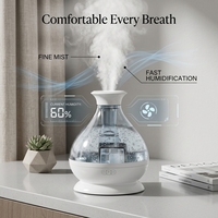 Humidificateur ultrasonique compact HD160, diffuseur d'huiles essentielles de bureau, brumisateur portable pour la maison, le bureau et l'armoire