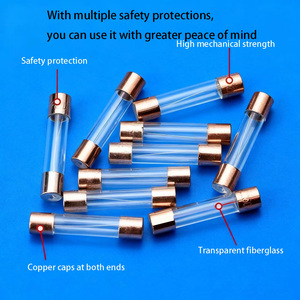 Portafusibile in linea Standard personalizzato 5x20 6x30 10x38mm a larghezza interna di 4.8mm cablaggio terminale bianco femmina - Product Image 5