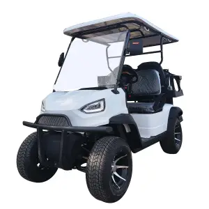 Совершенно новый высококачественный роскошный уличный легальный 4 пассажирский мини-гольф-кар