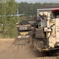 Moissonneuse-batteuse à riz automatique d'occasion 120 CV avec moteur, boîte de vitesses, climatisation et largeur de travail de 2400 mm pour maïs/blé/riz