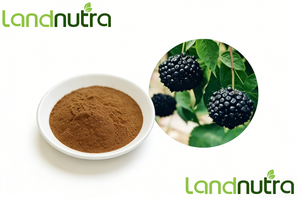 Натуральный экстракт элеутерокока синтетического в порошке - Элеутерозиды B+E ≥<span class=keywords><strong>1.0</strong></span>% Порошок сибирского женьшеня - Product Image 4