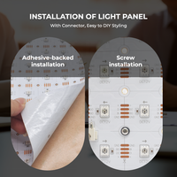 Feuille LED flexible adressable 250*250mm DC12V 100 LED RGB 100 pixels Angle de faisceau 120° °   Plaques LED numériques pour fonds en marbre