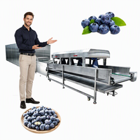 Mesin Pencuci dan Pengupas Blueberry, Mesin Pencuci dan Pengupas Blueberry Tipe Sikat, Mesin Pencuci Buah dan Sayuran