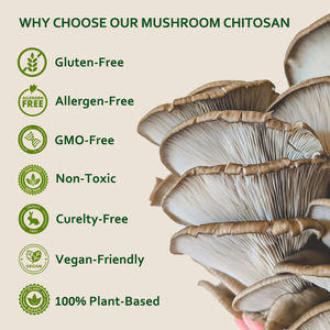 Сушеный веганский не-GMO гриб хитозан порошок высокого качества грибковый хитозан низкая цена для здоровья - Product Image 2