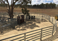 Clôtures de cheval vert de bétail en métal faciles à assembler panneau de corral de haute qualité galvanisé cour de bétail soudée à revêtement électrique
